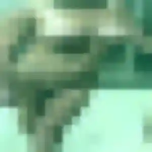 Découvre Elodie, 33 ans à Thoiry gratuitement