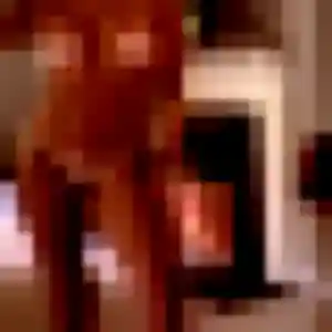 Rencontre Dorothee, 27 ans à Thuir gratuitement