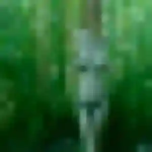 Anne-Charlotte, 38 ans, cherche un plan cul à Thyez