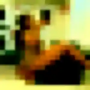 Rencontre Albane, 36 ans à Torcy en t'inscrivant