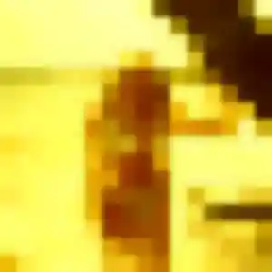 Profil de Armelle à Torcy (28 ans) - plan cul sans inscription