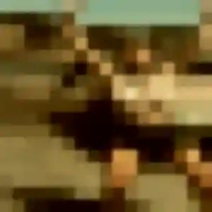 Zara, 42 ans, dispo pour plan cul à Toulouges