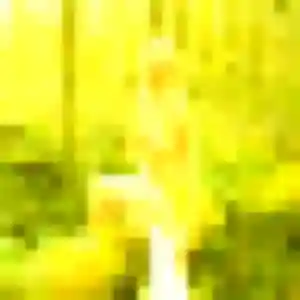 Leonore, femme de 32 ans veut plan cul à Tourcoing