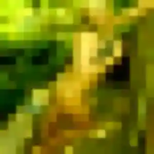 Profil de Luna à Tournan-en-Brie (24 ans) - plan cul gratuit