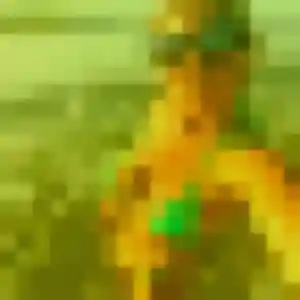 Quitterie, 27 ans, connectée à Tournefeuille pour une rencontre coquine