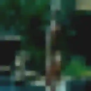 Marie-Claire, 39 ans, en ligne à Tournus pour un plan cul