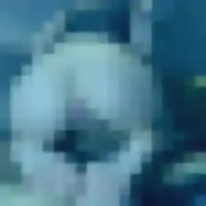 Photo perso de Salima, 34 ans à Trélissac - plan discret