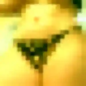 Gaia, 44 ans, cherche un plan cul à Tremblay-en-France