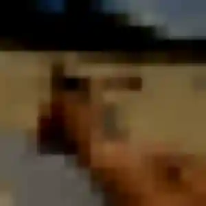 Photo de Nathalie à Tresses (35 ans) - plan cul sans inscription