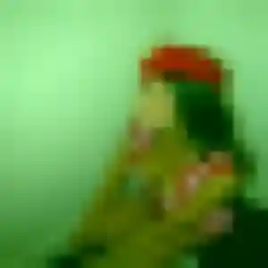 Photo de Giulia à Trets (42 ans) - plan cul anonyme