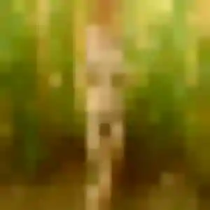 Alienor (42 ans) à Trilport cherche un plan cul aujourd'hui