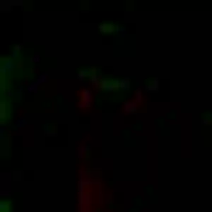 Photo perso de Myriam, 44 ans à Troyes - plan discret