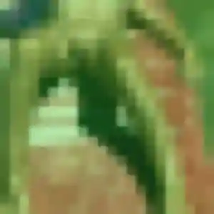 Marine de Ustaritz, 23 ans - plan cul sans prise de tête