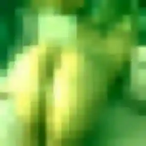 Anouk, 34 ans, disponible à Vannes pour une rencontre coquine