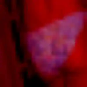 Priscilla de Vaulx-en-Velin, 33 ans - plan cul discret