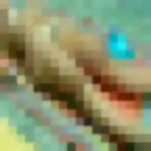 Touria, 44 ans, dispo pour plan cul à Veigné