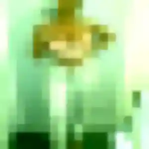 Sexy Wahiba, 32 ans à Vendin-le-Vieil - la contacter