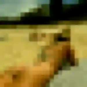 Découvre Aisha, 35 ans à Verdun en privé