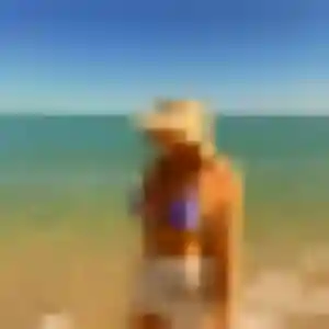 Photo exclusive de Natasha, 23 ans à Vernaison - rencontre sans lendemain