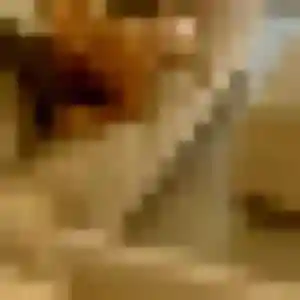 Sexy Elena, 25 ans à Vernon - découvrir son profil