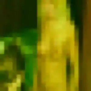 Jean-Marie, 38 ans, en ligne à Vernon pour un plan cul