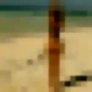 plan cul à Verrières-le-Buisson : profil de Vera, 40 ans - accès libre