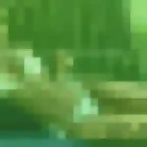 Profil de Rym à Versailles (19 ans) - plan cul gratuit