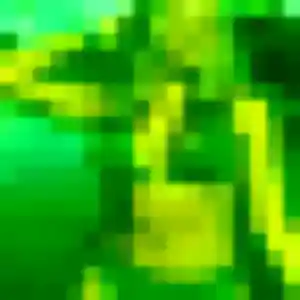 Patricia (30 ans) à Vexin-sur-Epte attend une rencontre aujourd'hui