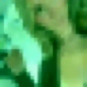 Rejoins Irina, 29 ans à Vienne en t'inscrivant