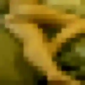 Sara, 34 ans, veut un plan cul à Vienne