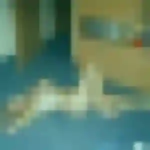 plan cul à Vif : profil de Flavia, 39 ans - sans engagement