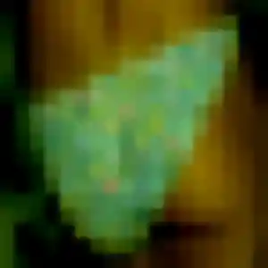 Profil de Yasmina à Vigneux-de-Bretagne (38 ans) - plan cul gratuit