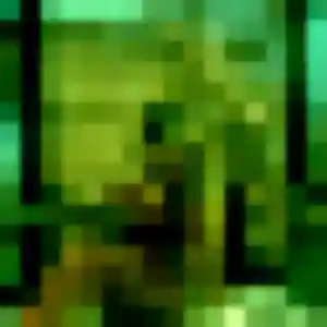 Découvre Anais, 38 ans à Villard-Bonnot gratuitement