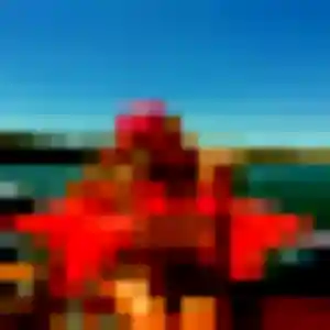 Photo privée de Clotilde, 39 ans à Villemandeur - rencontre sans lendemain