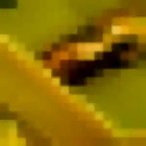 Ava de Villemoisson-sur-Orge, 34 ans - plan cul sans lendemain