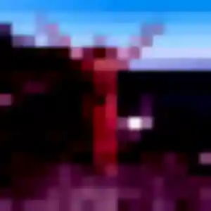 Hortense, 24 ans, veut un plan cul à Villemomble