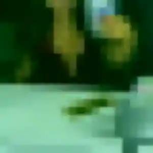 Aisha (35 ans) à Villeneuve-d'Ascq attend une rencontre aujourd'hui