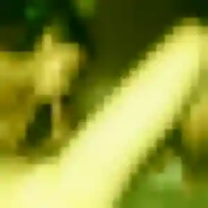 Leonore, 23 ans, disponible à Villeneuve-lès-Avignon pour un plan cul