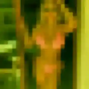 Rejoins Barbara, 34 ans à Villeurbanne gratuitement