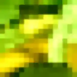 Apolline de Vindry-sur-Turdine, 29 ans - plan cul en toute liberté