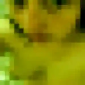 Belle Xaviere, 42 ans à Vindry-sur-Turdine - découvrir son profil