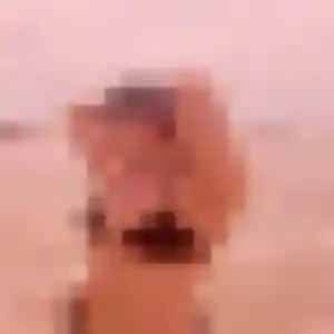 Oceane, 31 ans, cherche un plan cul à Vitré