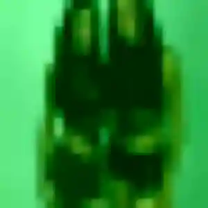 Sexy Agathe, 20 ans à Vitrolles - découvrir son profil