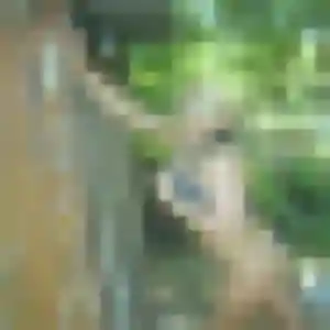 Rejoins Pierrette, 43 ans à Vitrolles en t'inscrivant