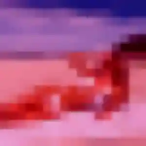 Alix, 21 ans, cherche un plan cul à Wambrechies