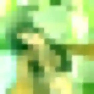 Colombe, 42 ans, dispo pour plan cul à Wasquehal