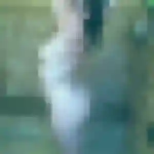 Oumaima, femme de 35 ans veut plan cul à Wattrelos