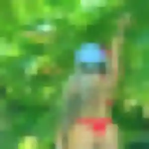 Rencontre Sandrine, 19 ans à Wattrelos en t'inscrivant