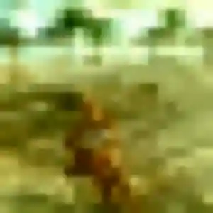 Profil de Albertine à Wervicq-Sud (28 ans) - plan cul sans inscription