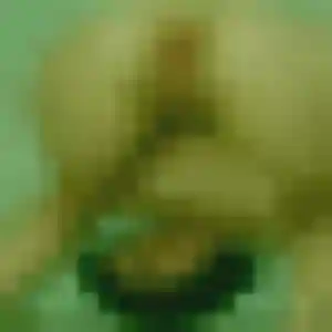 Photo sexy de Marine, 23 ans à Wervicq-Sud - plan discret